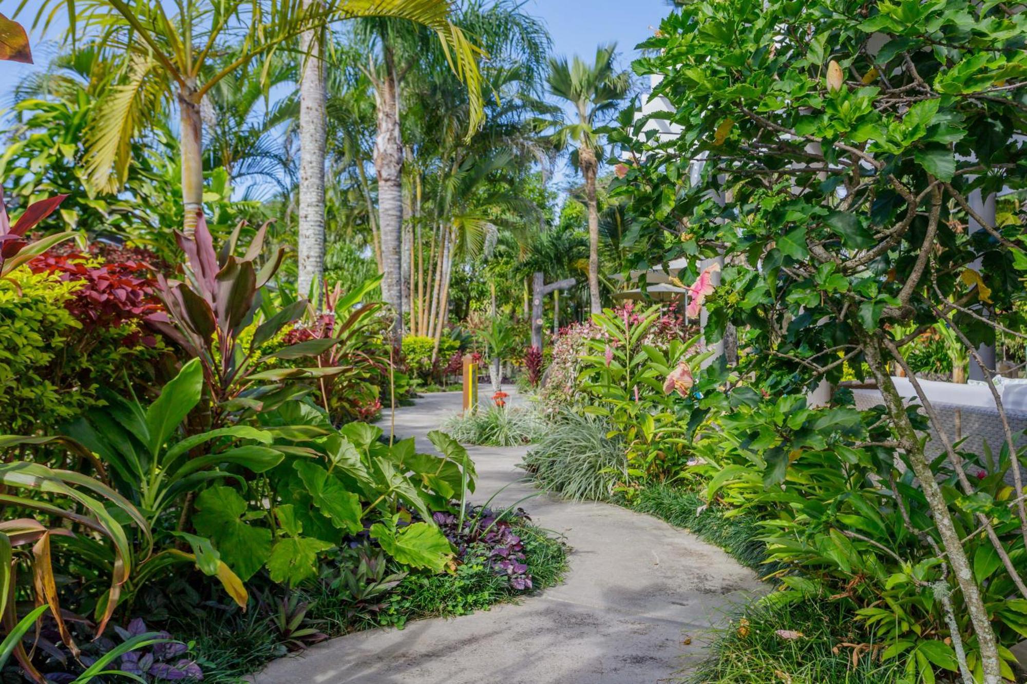 Rarotonga Daydreamer Escape Dış mekan fotoğraf